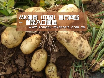 种植基地六