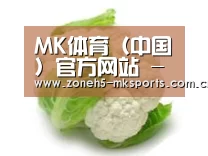 产品名称九