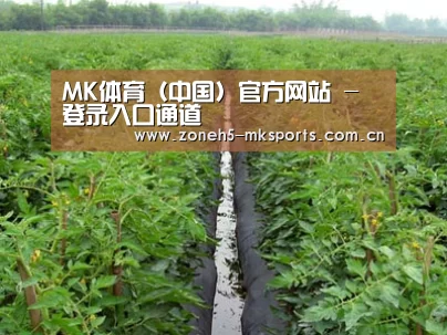 种植基地三