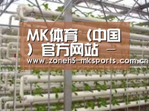 环境展示六