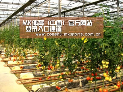 种植基地二(图1)