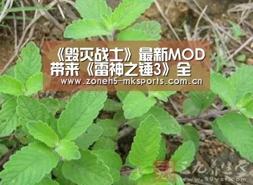 《毁灭战士》最新MOD带来《雷神之锤3》全新体验“ MK体育”(图2) MK体育