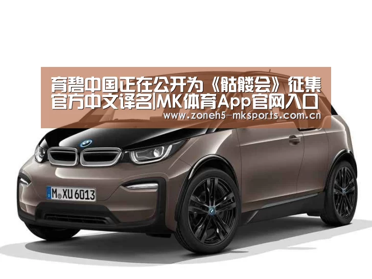 育碧中国正在公开为《骷髅会》征集官方中文译名|MK体育App官网入口 (图3) MK体育