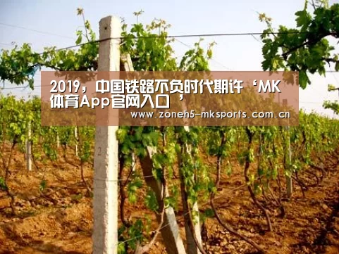 2019,中国铁路不负时代期许‘MK体育App官网入口 ’(图1) MK体育App官网入口