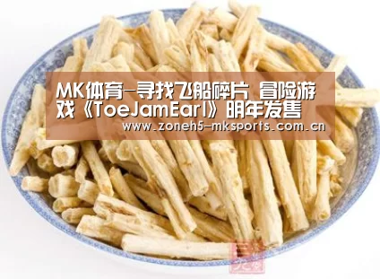 MK体育-寻找飞船碎片 冒险游戏《ToeJamEarl》明年发售(图4) MK体育App官网入口