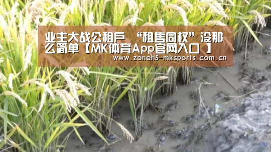 业主大战公租户 “租售同权”没那么简单【MK体育App官网入口 】(图1) MK体育App官网入口