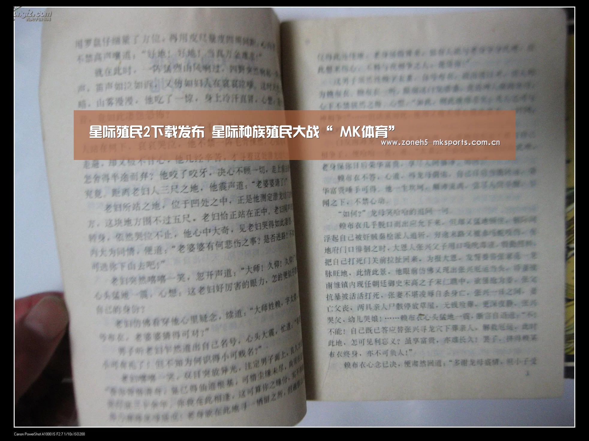  MK体育